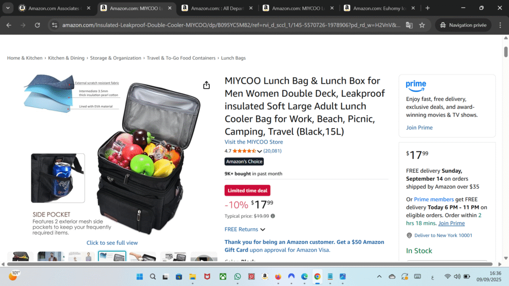 Large-Capacity Double-Layer Lunch Bag – Insulated, Leak-Proof, Multi-Functional for Office, Picnic, or Travel