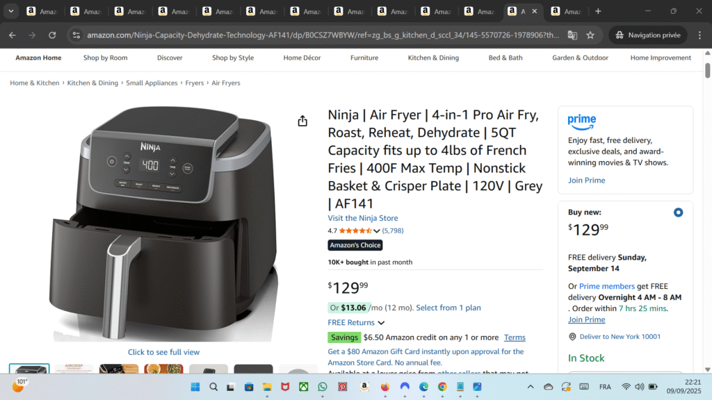 Ninja 4-in-1 Pro Air Fryer – Air Crisp, Roast, Reheat, Dehydrate, 5-Quart Nonstick Basket