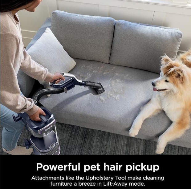 BISSELL Little Green: The #1 Portable Carpet Cleaner That Removes Pet Stains Instantly!